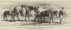 The War, Bringing Meat from Djunis to Greovatz for the Servian Army by Sir John Charles Robinson